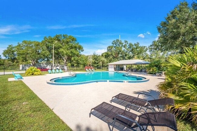 Building Photo - Renovated Apartment in the Heart of Carollwood