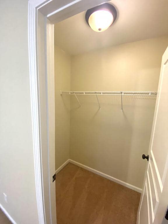 Building Photo - 4005 Princess Amelia Ln