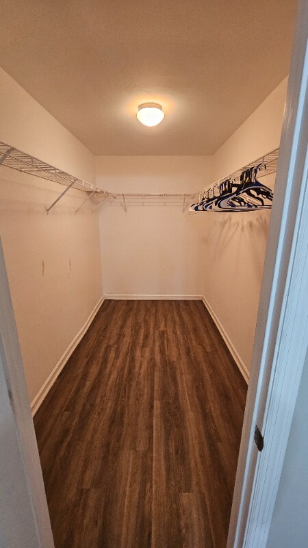 Building Photo - 200 Grantham Cir