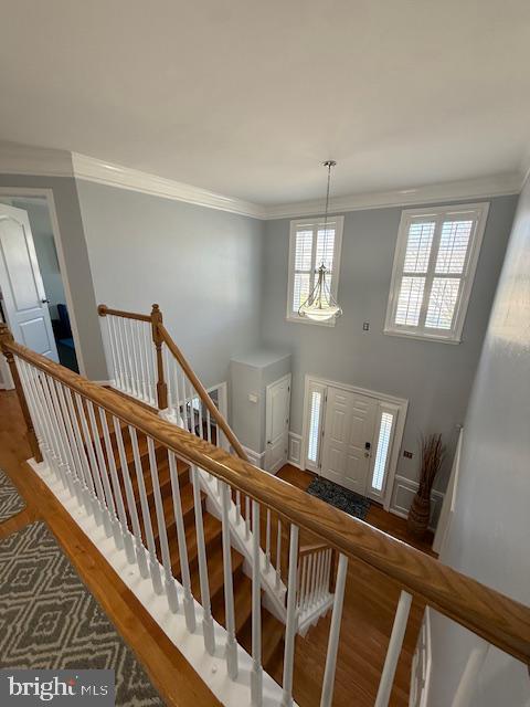 Building Photo - 8002 Middlebury Dr