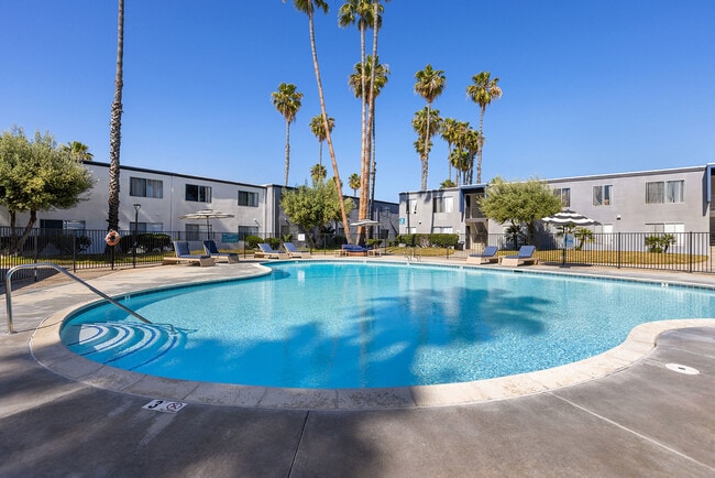 Building Photo - Palms