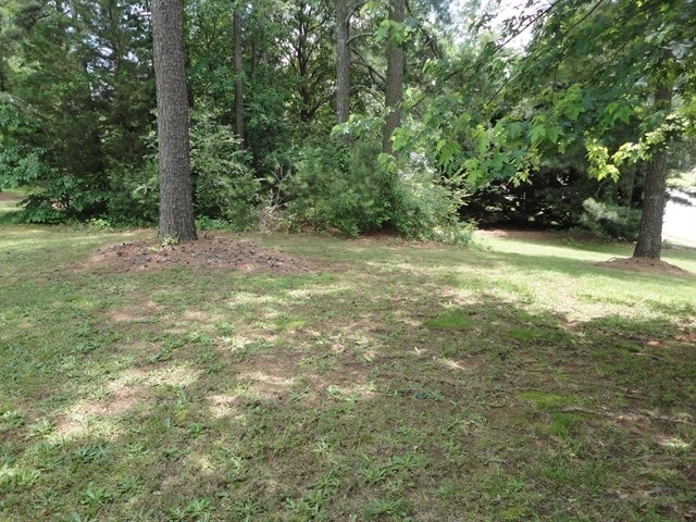 Building Photo - 1335 Timber Walk Dr