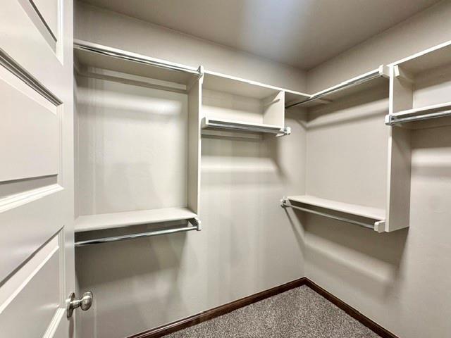 Building Photo - 709 Caladium Dr