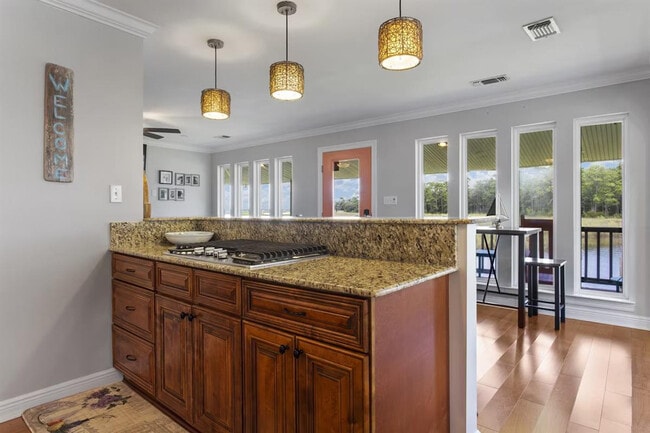 Building Photo - 1317 Beards Cove Dr