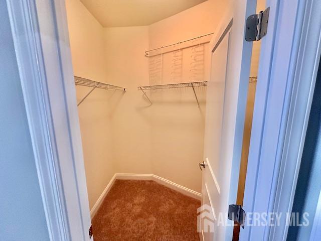 Building Photo - 6203 Fernandez Ct