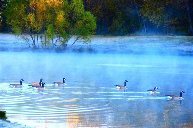 Building Photo - 409 Somerville Dr