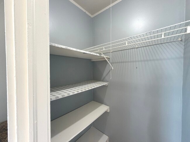 Building Photo - 3126 Elder Ln