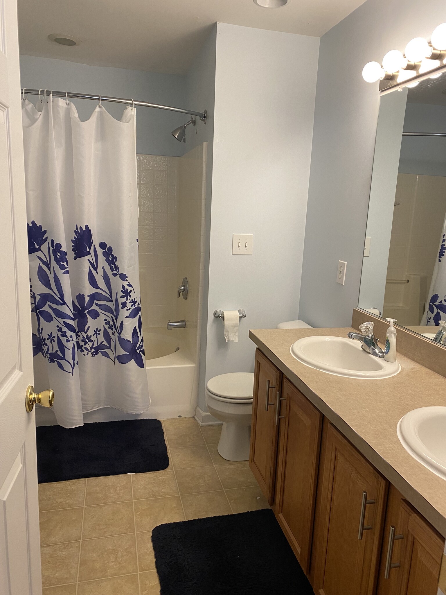Master bath - 1533 Crest Park Ct