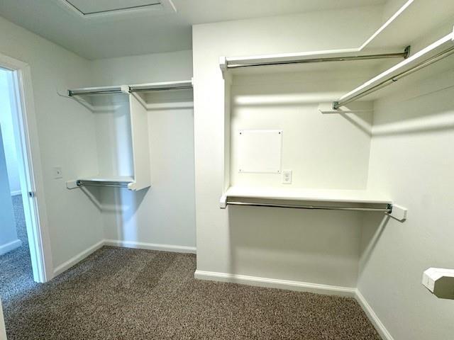 Building Photo - 3137 Mt Nebo Dr