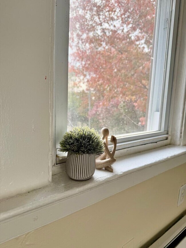 Building Photo - 37 Hotchkiss St