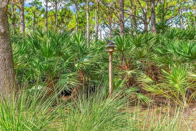 Building Photo - 631 Moondancer Ct