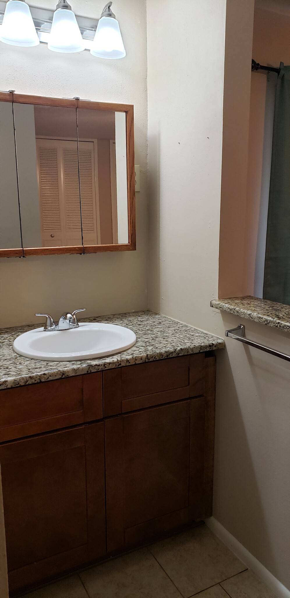 Master bath sink area. - 4103 Willow Green Drive