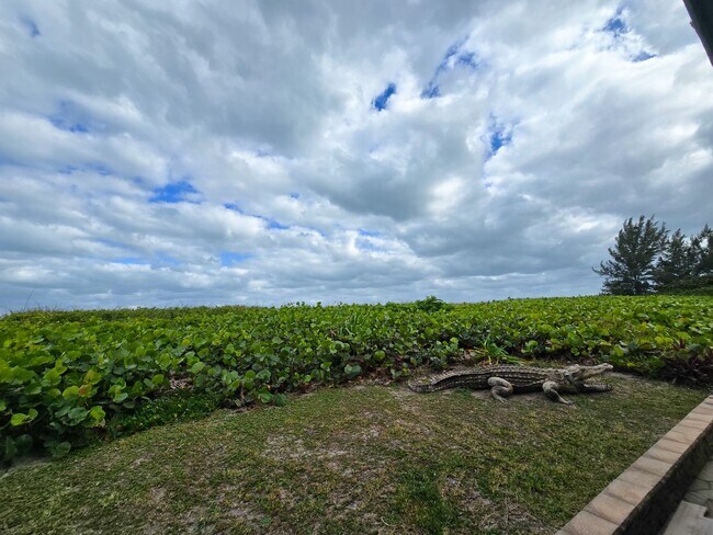 Building Photo - OCEANFRONT FURNISHED ANNUAL ONE BEDROOM ONE BATH