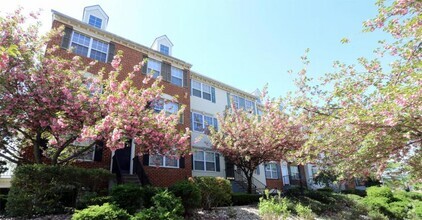Building Photo - 1 bedroom in Newark NJ 07103