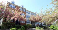 Building Photo - 1 bedroom in Newark NJ 07103