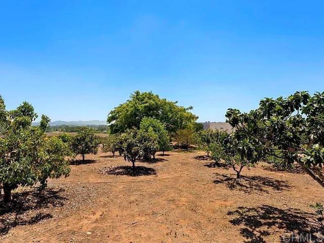 Building Photo - 2090 Quail Meadow Rd