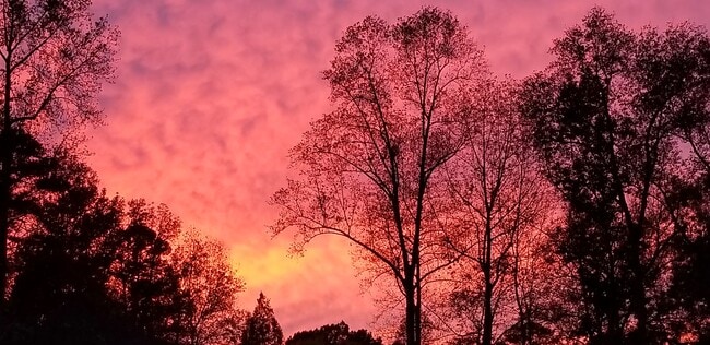 Building Photo - 110 Inland Cir