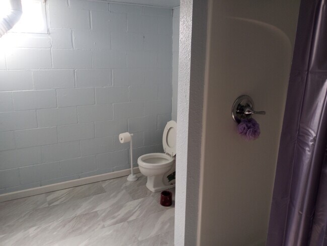 Basement Bathroom - 107 S Glen St
