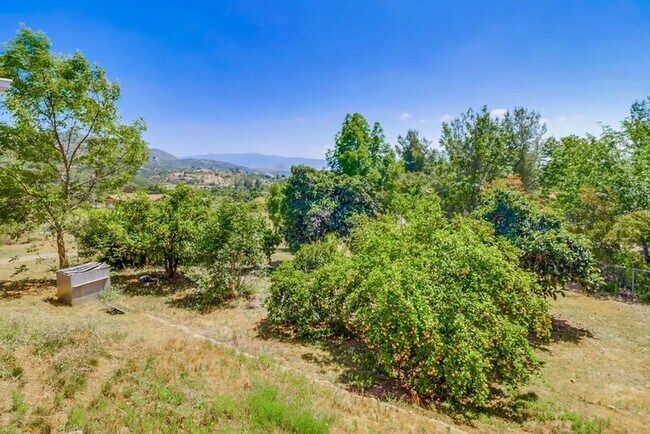 Building Photo - 3289 Altoro Ln