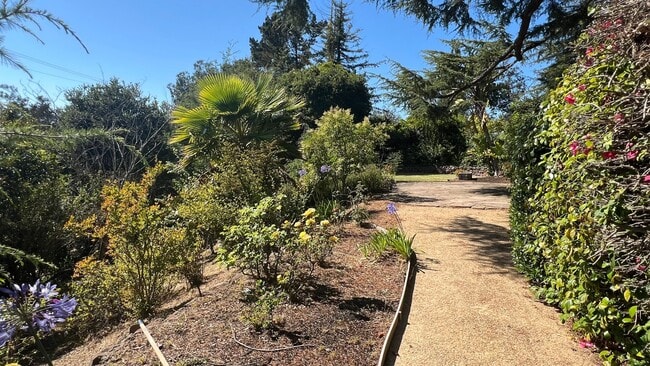 Building Photo - Mid-Century homes Rarely Available with Expansive Bay Views