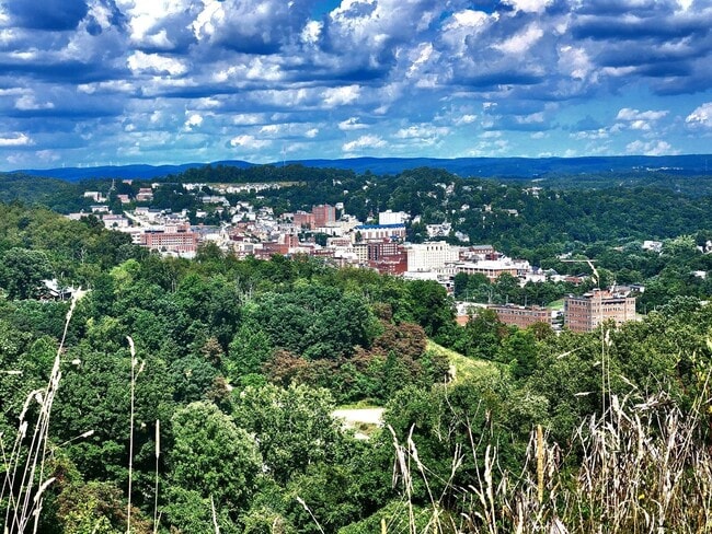 Building Photo - 3 bed/2.5 bath Townhouse in Westover - Ava...