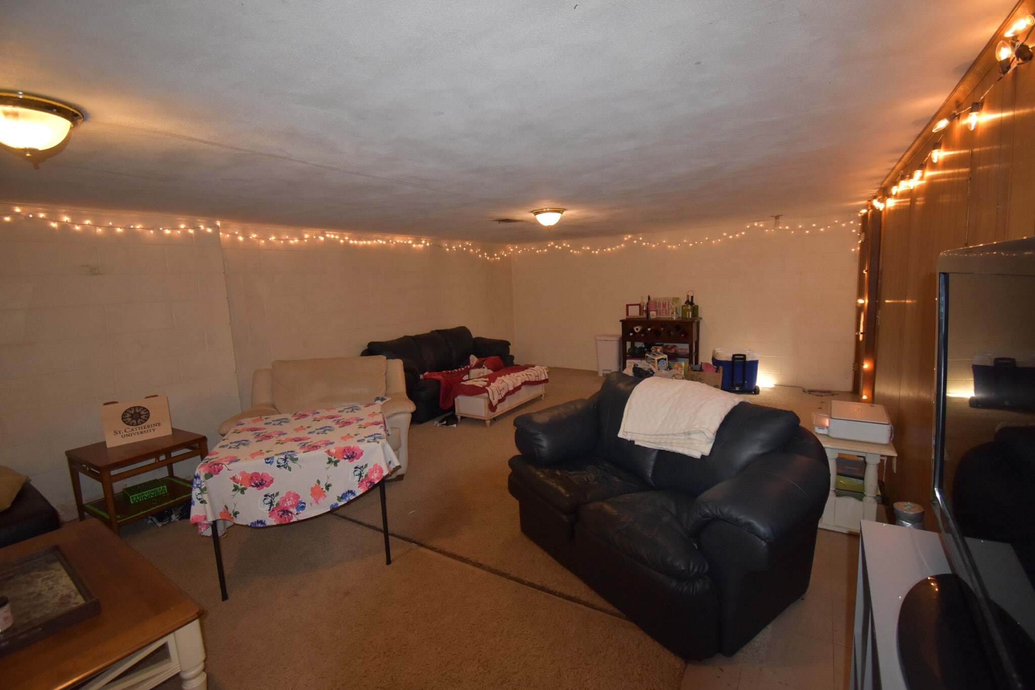 Lower Level Living Room - 383 Queenan Ave S