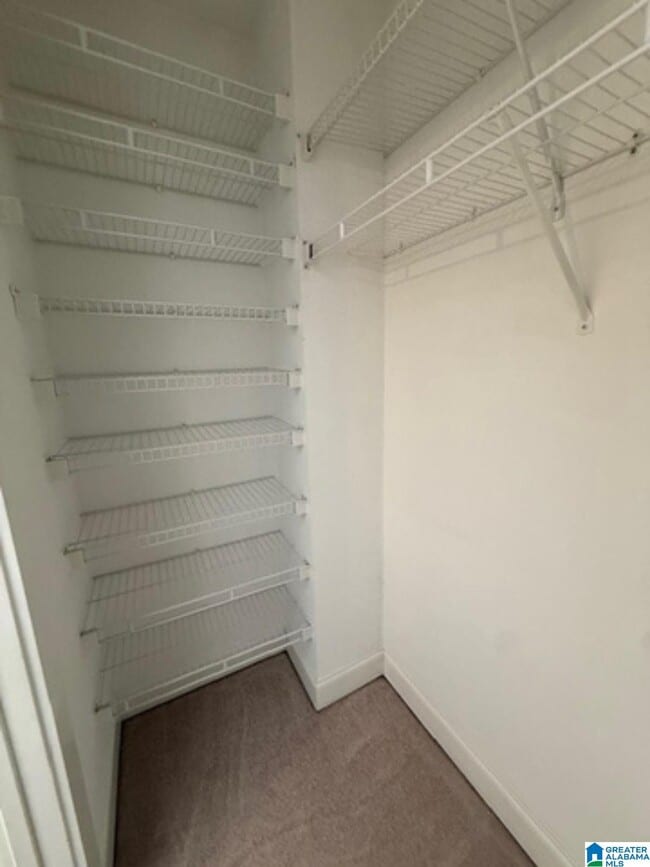 Building Photo - 5775 Colony Ln