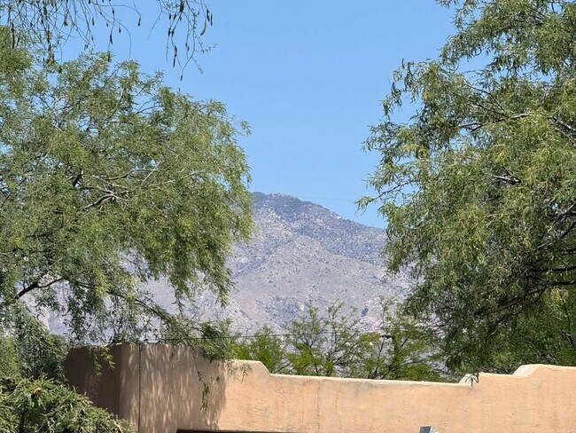 Building Photo - 1518 E Hedrick Dr