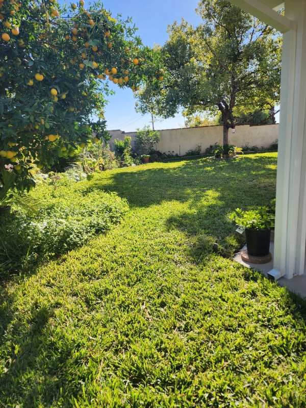 Building Photo - 6245 Ranch Style Highland Home Rnch