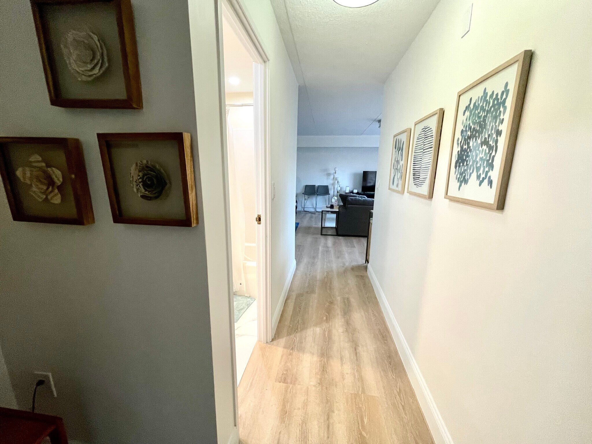 Guest bathroom entrance from the hallways - 1243 Beacon St