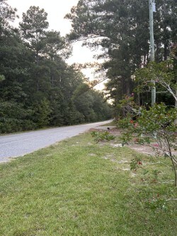 Building Photo - 2684 Fort Jackson Rd
