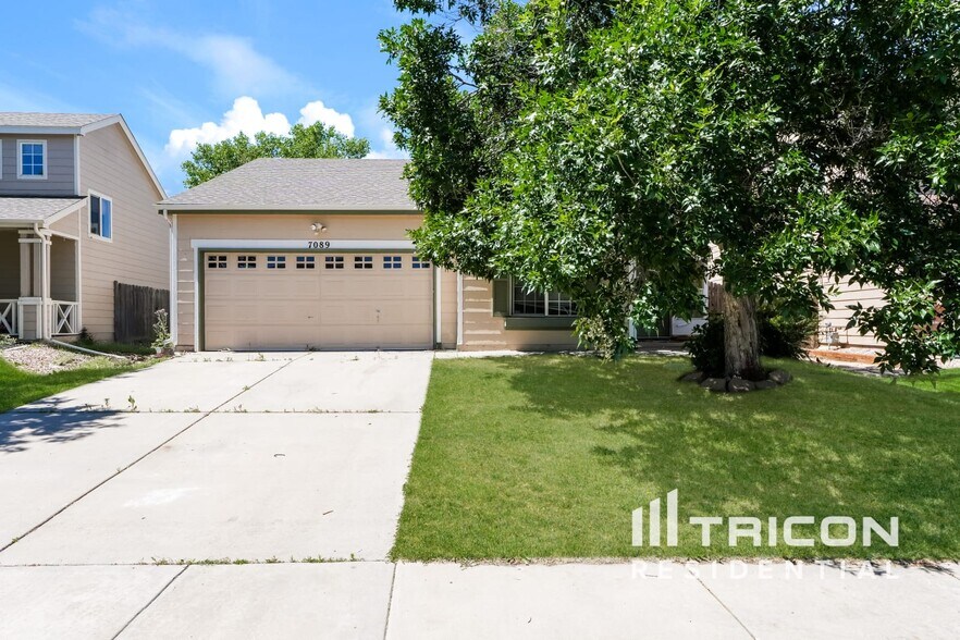 Primary Photo - 7089 Cattle Dr