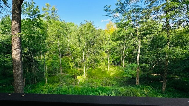 Building Photo - 96 Old Pascack Rd