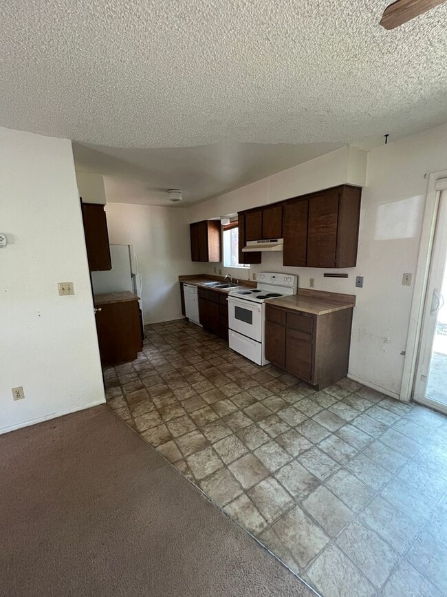 Building Photo - NEW FLOORING, NEW PAINT! Christmas Tree Es...