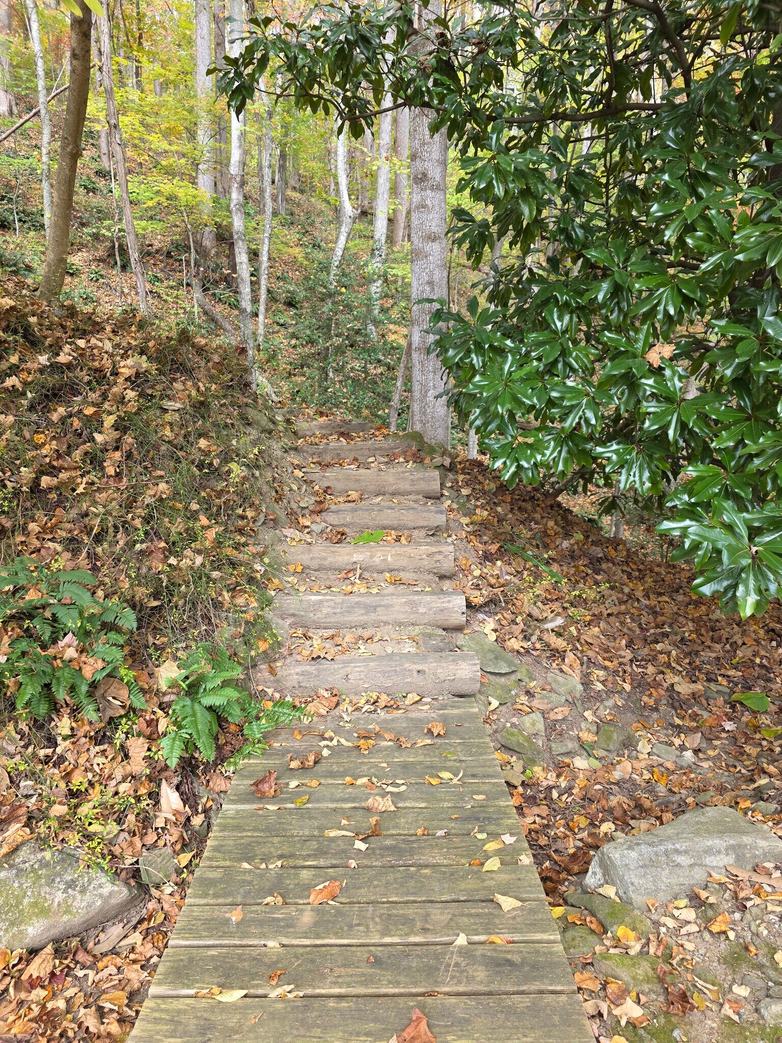 Building Photo - 100 Crab Apple Ln