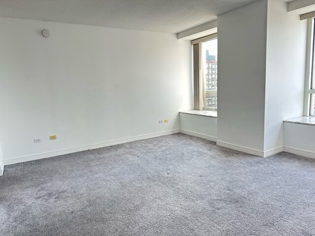 Building Photo - 512 N McClurg Ct