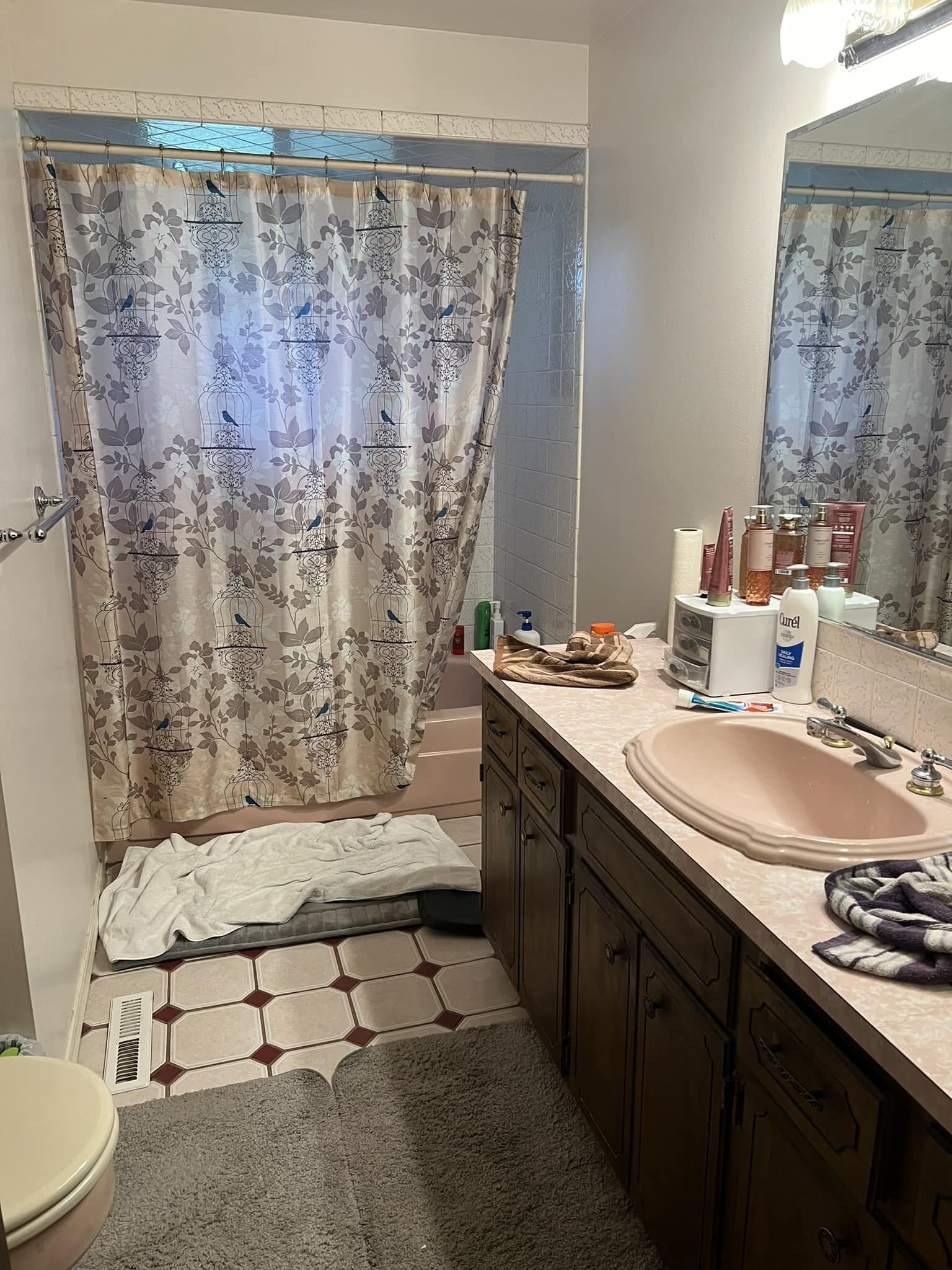 Upstairs bathroom - 1223 W Bellwood Dr