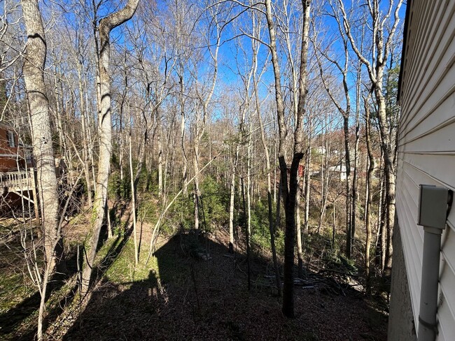 Building Photo - South AVL - Three Bedroom home with Wooded...