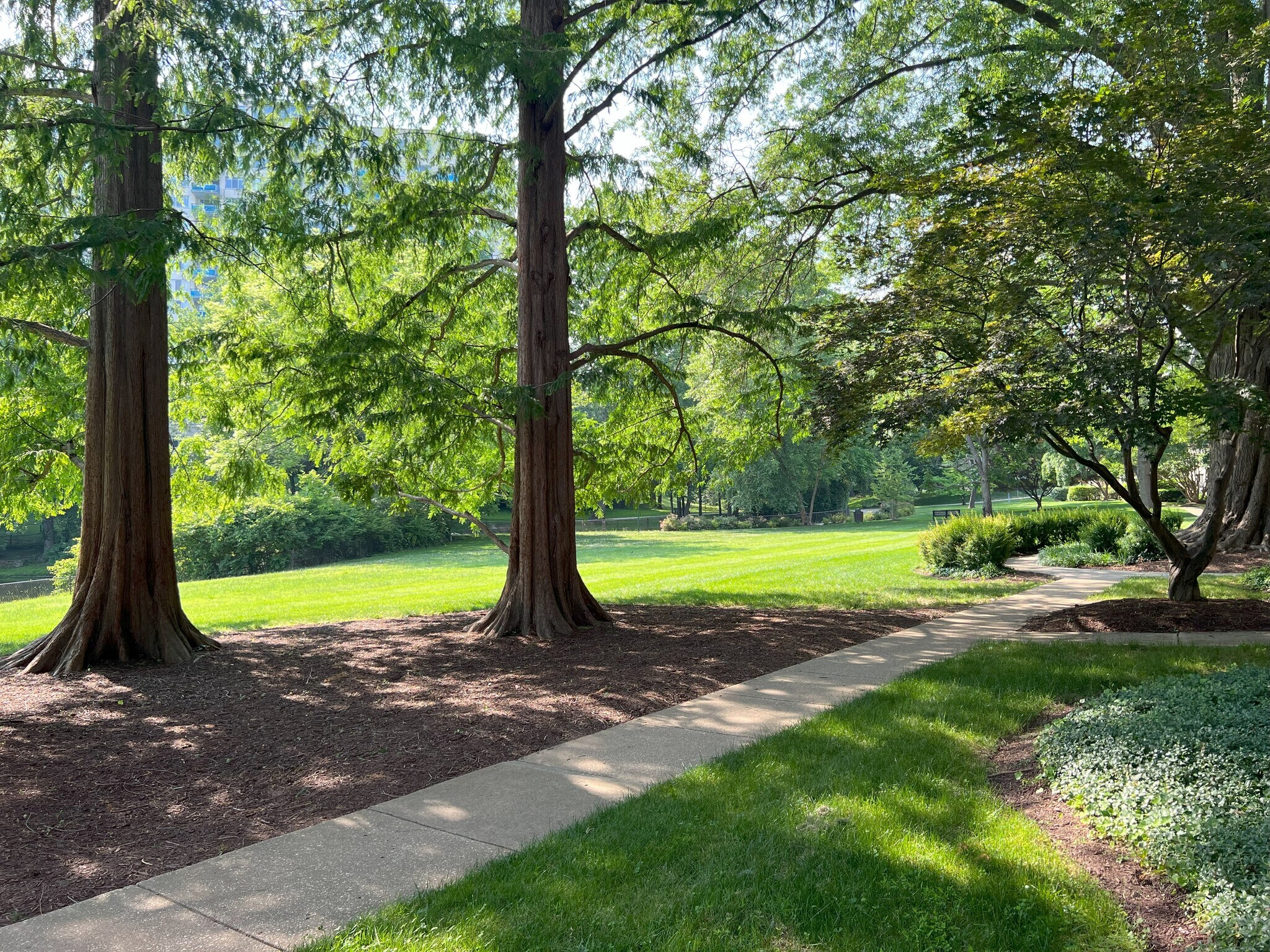 Surroundings (view from patio) - 10416 Rockville Pike