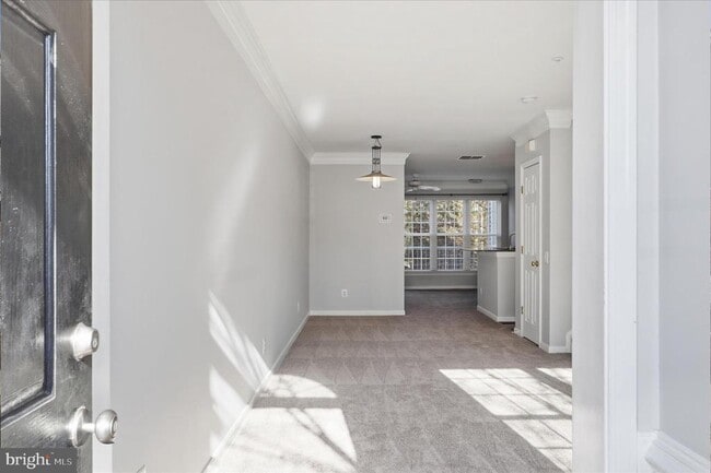 Building Photo - 5916 Terrapin Pl