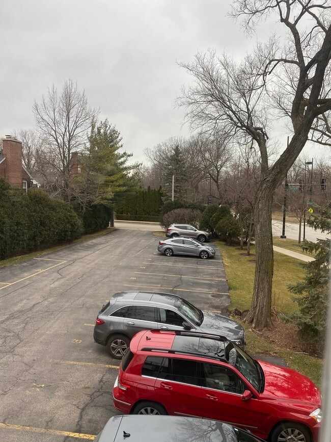 Building Photo - 551 Hill Terrace