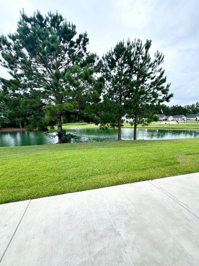 Building Photo - LOOK AT THIS ONE! BEAUTIFUL home with a pond view right outside the back patio!