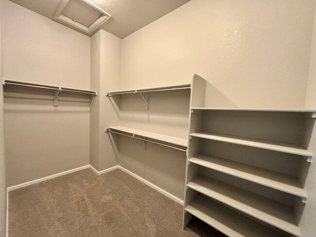 Building Photo - 791 Plum Creek Ct
