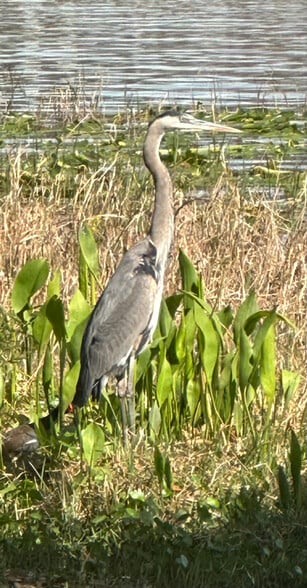 Building Photo - 2545 S Zellner Dr