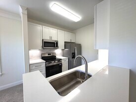 Newly renovated kitchen - 1331 Arborgate Cir
