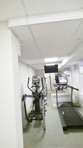 Building Photo - 19 Wendell St