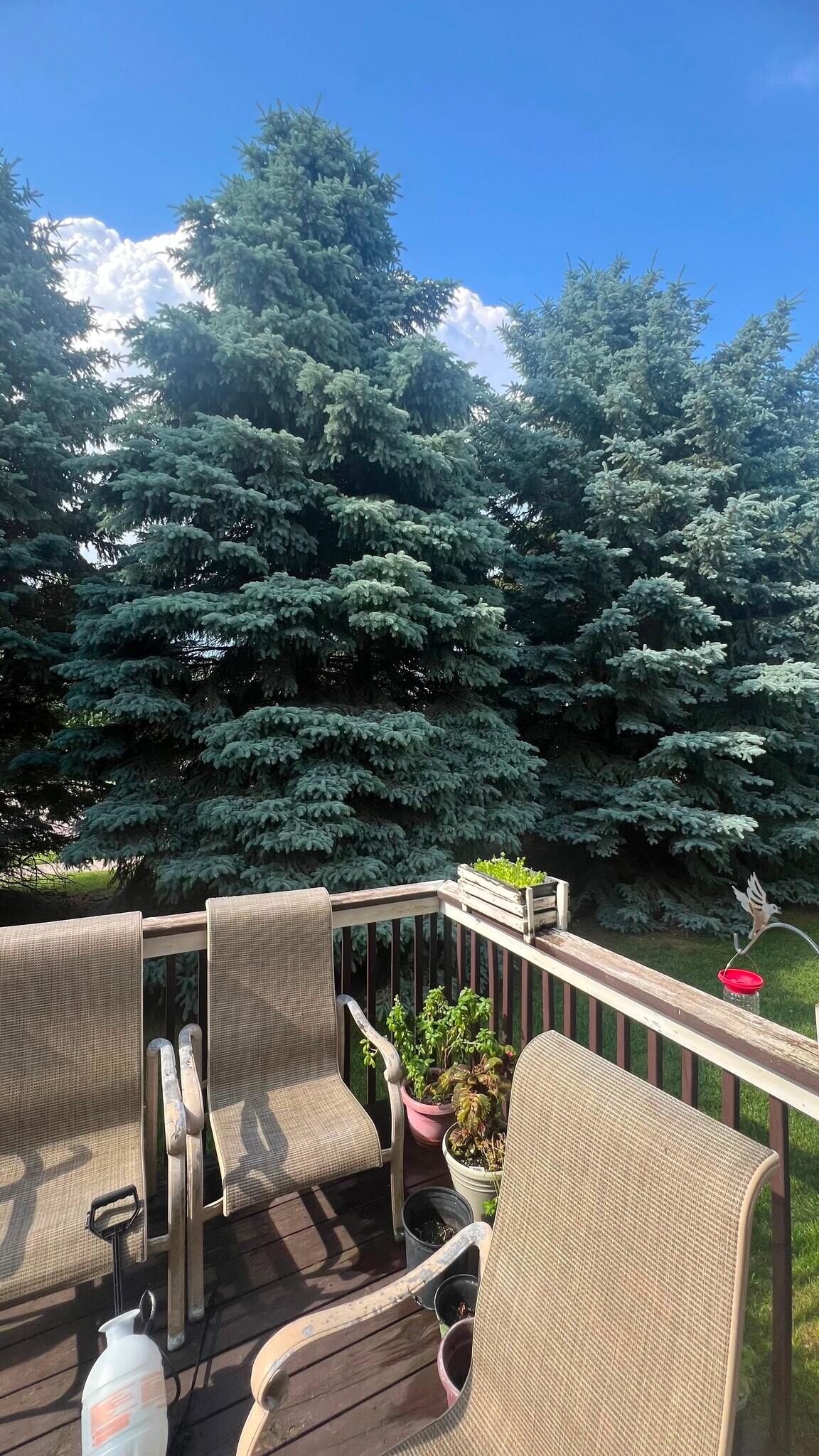 Building Photo - 2853 Wyndam Ct