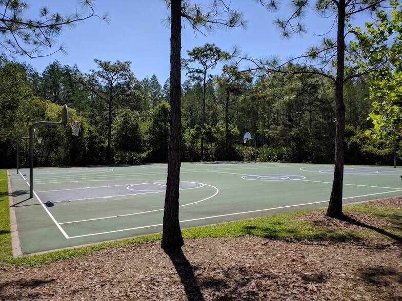 Basketball - 1135 Sleepy Oak Dr