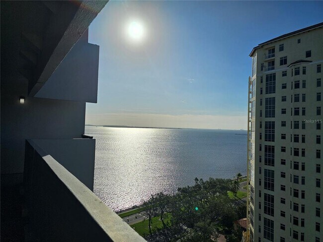 Building Photo - 4141 Bayshore Blvd