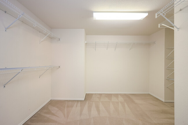 Building Photo - Spacious 4-Bedroom Home in San Antonio, TX